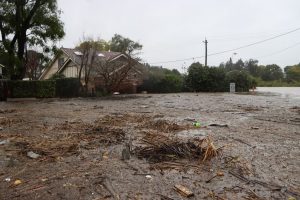 cleaning up flood damage